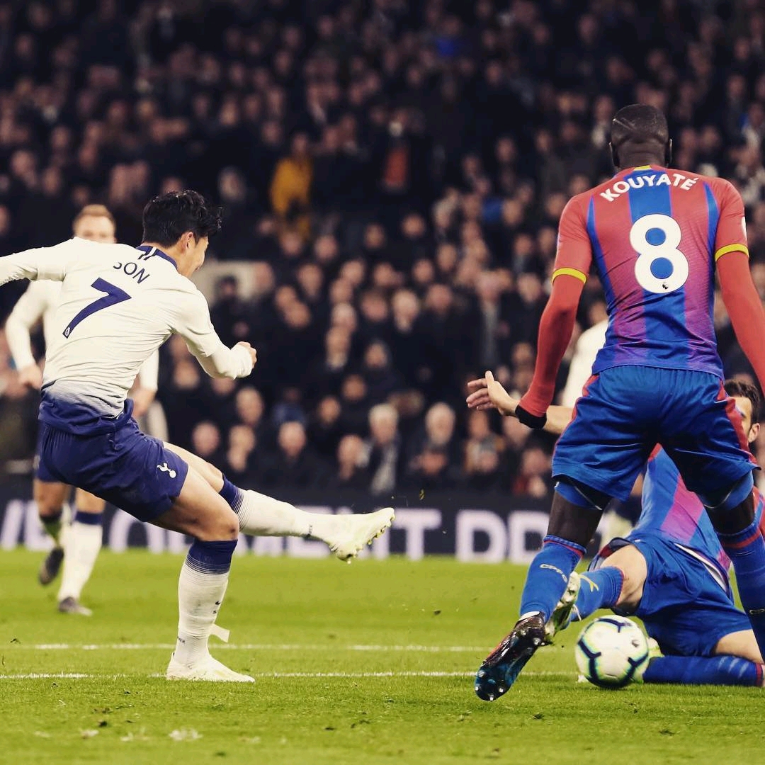 两战河南不 两战河南不